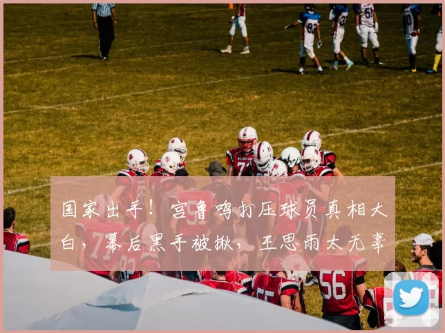 国家出手！宫鲁鸣打压球员真相大白，幕后黑手被揪，王思雨太无辜