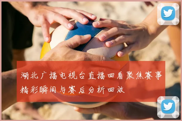 湖北广播电视台直播回看聚焦赛事精彩瞬间与赛后分析回放