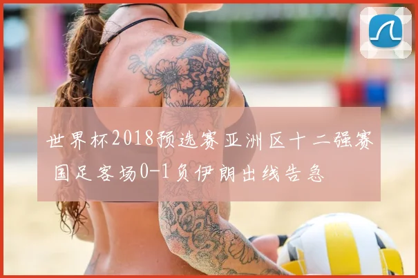 世界杯2018预选赛亚洲区十二强赛 国足客场0-1负伊朗出线告急