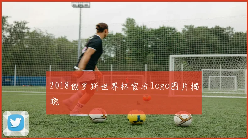 2018俄罗斯世界杯官方logo图片揭晓