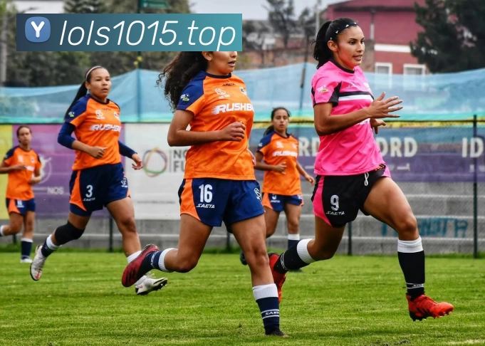 kaiyun「中国大陆」云开·门户网站 - 官方网站|登录入口平台生态图